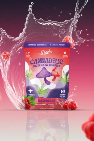 Purple Mushroom Gummies