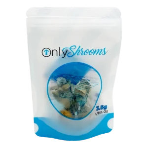 Dried Magic Mushrooms 3.5g – OnlyShrooms - Image 2