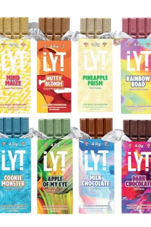 Magic Mushroom Chocolate Bar 4g’s – LYT