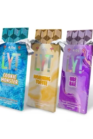 Magic Mushroom Chocolate Bundle – LYT