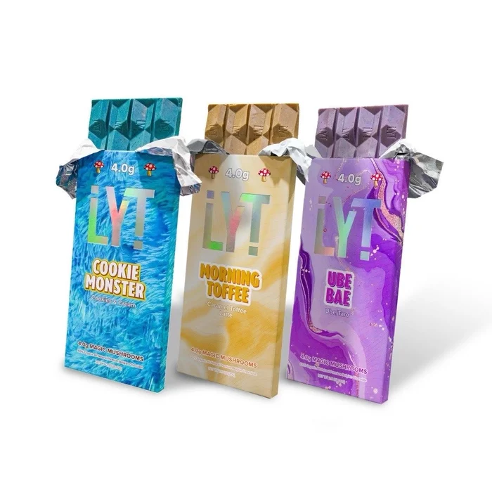 Magic Mushroom Chocolate Bundle – LYT