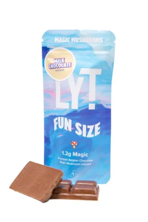 Magic Mushroom (Fun Size) 1.2g Chocolate Bar – LYT