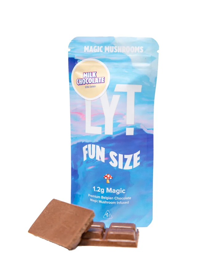 Magic Mushroom (Fun Size) 1.2g Chocolate Bar – LYT