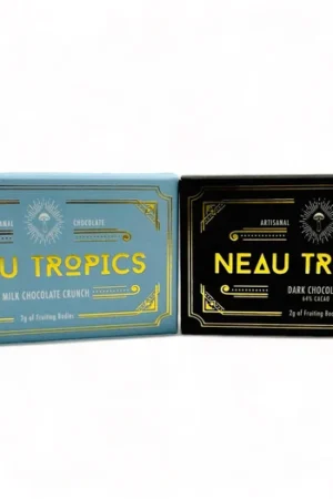 Magic Mushroom Mini Chocolate Bar 2g – NeauTropics