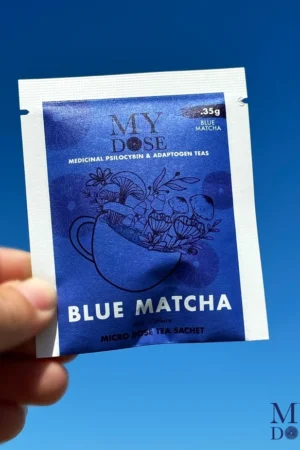 Magic Mushroom Single Tea Bag 0.35g – MyDose