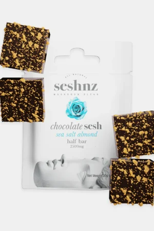 Magic Mushroom Chocolate Bar 2.5g – Seshnz
