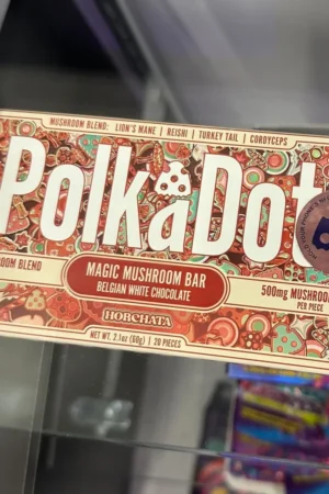 PolkaDot Mushroom Chocolate