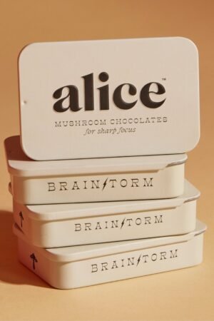 Brainstorm Chocolate For Sharp Focus