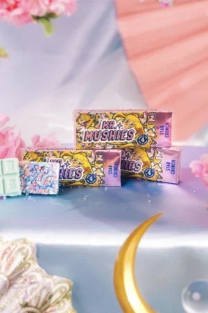Mr Mushies Chocolate