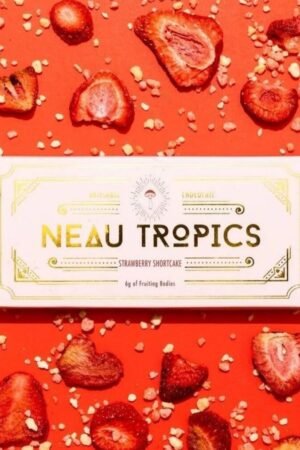 Neau Tropics Strawberry Shortcake Bar