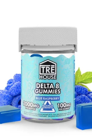 Blue Raspberry High-Potency Delta 8 THC Gummies