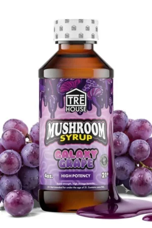 Galaxy Grape Mushroom Syrup