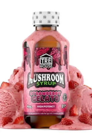 Strawberry Gelato Mushroom Syrup