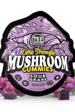 TRE House Mushrooms