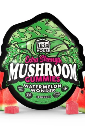 Watermelon Wonder Extra-Strength Mushroom Gummies